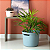 Cesto Organizador Cube Flex Lavanderia 28l Cor Chumbo - Imagem 2