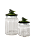 Kit 2 Potes de Vidro Canelado Tampa Pássaro Verde 1L e 600ml - Imagem 1