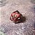 Dado especial d20 de 1  - Vermelho - Encomenda - Imagem 1