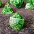 Sortilégio Druidico - Set completo com 7 Dados de RPG Entrega Imediata - Imagem 4