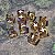 Conjunto de 10 Dados Fate (Fudge Dice) - Dois Reinos - Entrega Imediata - Imagem 3