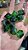 Pedido Personalizado @malditofabricio Set 10xD10 Tentaculos verdes - Imagem 3