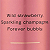 Body Splash Aqua Kiss Shimmer 250ml - Victoria's Secret - Imagem 2