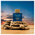 King of Seduction Absolute Banderas Eau de Toilette - Perfume Masculino 200ml - Imagem 3