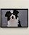 Quadro Cachorro Border Collie 51x34 - Artesanal (Apartamento Decorado) - Imagem 1