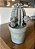 Enfeite Cactus em Resina - BTC (Apartamento Decorado) - Imagem 1