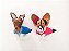 Maxi Pet - Imagem 17