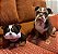 Maxi Pet - Imagem 6