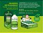 Caixa Com 48 Flaconetes Amarguinho 20Ml - Chá Misto De Ervas - Imagem 2