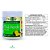 Chá Verde Soluvel sabor Abacaxi com Hortelã 200g - Imagem 2