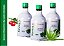 Kit 3 Reviva S/vita King Aloe Vera (babosa) Acerola Original 500ml cada - Imagem 1