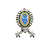 Distintivo Metálico de Gola - General de Brigada - Imagem 1