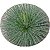 Agave Palito - Imagem 2