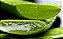 Babosa ou Aloe Vera - Pote de 40 cm - Imagem 2