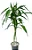 Bambu da Sorte Verde - Imagem 1