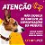 Colírio Antibacteriano Para Cachorros e Gatos - 20ml - Biofarm - Imagem 4