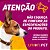 Kit 10 Brinquedos Arranhador Chocalho Ratinho para Gatos - Stillo Pet - Imagem 9