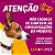 Escova Pente Rasqueadeira Funamei Para Cães de Pelo Curto - Grande - Petlon - Imagem 4