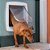 Porta de Passagem Swing Tunel 11 para Cães e Gatos - Ferplast - Imagem 6