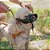 Focinheira Safe Acolchoada de Nylon para Cães - Pequena - Ferplast - Imagem 4