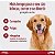Antipulgas e Carrapatos Advantage Max 3 M - 1,0 mL para Cães de 4 a 10kg - 1 Bisnaga - Elanco - Imagem 4