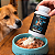 Suplemento Alimentar VETWHEY em Pó com Probiótico Prebiótico e Proteínas para Cães 500g - Biofarm - Imagem 3