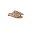 Sandalia Arezzo Flip Flop - Imagem 1