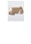 Sandalia Melissa Glossy Bb Infantil - Imagem 4
