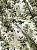 Tecido Tricoline Estampa Digital Toile de Jour em Verde Oliva 100% Algodão - Imagem 6