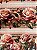 Tecido Tricoline Estampa Digital 10 Faixas de Rosas Cor-de-rosa, Rosas Cor de Chá, Folhas e Botões 100% Algodão - Imagem 4