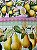 Tecido Tricoline Digital com 10 Faixas de Frutas Diversas sobre Xadrez 100% Algodão - Imagem 3