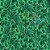 Mini Lacinho de Cetim Mosquitinho Verde Bandeira - 100 unidades - Imagem 2