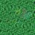 Mini Lacinho de Cetim Verde Bandeira - 50 unidades - Imagem 2