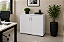 Armário Baixo 2 Portas Fechado Móveis Escritório Home Office Base em Aço 18 mm Chave - Imagem 2