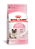 Ração Royal Canin Mother & Babycat para Gatas Gestantes e Lactantes e Gatos Filhotes de 1 a 4 Meses de Idade - Imagem 1