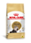 Ração Royal Canin Persian para Gatos Adultos da Raça Persa - Imagem 1