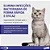 Antibacteriano Elanco Veraflox Suspensão 25mg/ml 15ml - Imagem 2