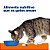 Ração Hill's Prescription Diet s/d para Gatos Adultos Cuidado Urinário 1,81kg - Imagem 6