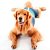 Roupa Pós Cirúrgica Pet Med Ultra Light Color Castração de Cães Machos - Imagem 9