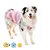 Roupa Pós Cirúrgica Pet Med Ultra Light Color Regular Para Cães Rosa - Imagem 2