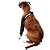 Roupas Pet Med Protetoras de Membros Cotoveleiras Para Calos de Apoio Higromas - Imagem 3
