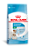 Ração Seca Royal Canin Starter Mother & BabyDog Mini 1kg - Imagem 1