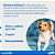 Antipulgas Elanco Capstar 57mg para Cães de 11 a 57kg - Imagem 5