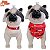 Q1094 Bandana Bom Amigo Twill P - Imagem 4