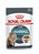 Alimento Úmido Sachê Royal Canin Feline Hairball / Bolas de Pelo - Imagem 1
