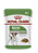 Alimento Úmido Sachê Royal Canin Canine Adult Mini - Imagem 1