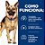 Ração Seca Hill's Prescription Diet Gastro Intestinal Biome para Cães 3,63 kg - Imagem 3