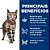Ração Hill's Science Diet Peso Perfeito para Gatos Adultos Sabor Frango 1.36kg - Imagem 2
