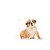 Ração Seca Royal Canin Puppy Bulldog Francês - Imagem 2