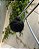 Fruteira de Piso Redonda Tripla Cromada Arthi - Imagem 5